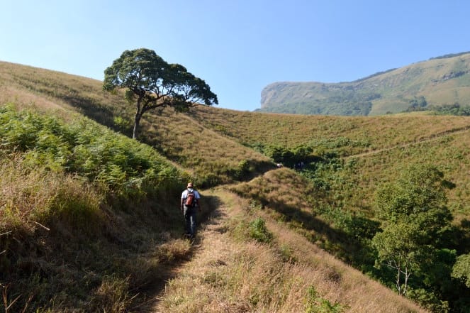 Hiking along the trek trail to Kudremukh Peak