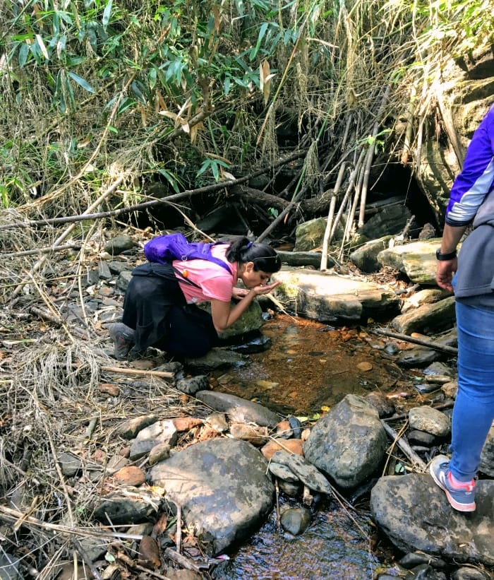 A Trekker experiencing stream water from the stream on the Kudremukh Trail