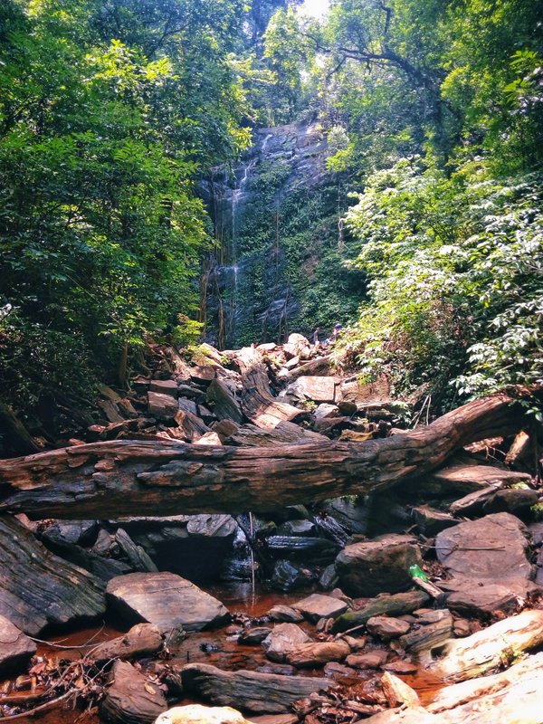 Kodachadri Trek Hidlumane Falls