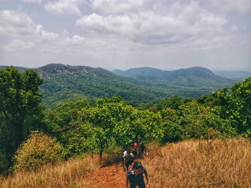 Kodachadri Trek Kodachadri Trek