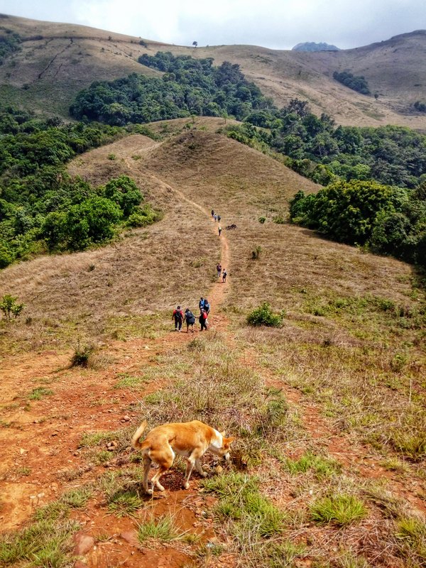 Kodachadri Trek Kodachadri Trek