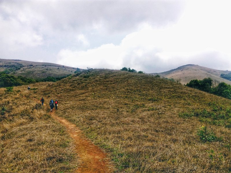 Kodachadri Trek Kodachadri Trek