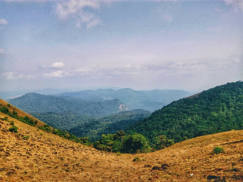 Kodachadri Trek Kodachadri Trek