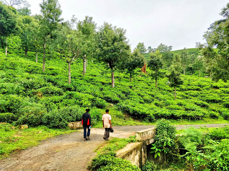 Kotagiri Kotagiri