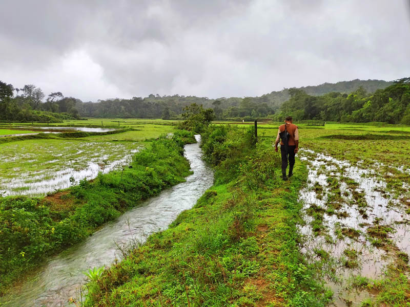 Brahmagiri Wildlife Sanctuary Trek and Camping weekend getaways around Bangalore