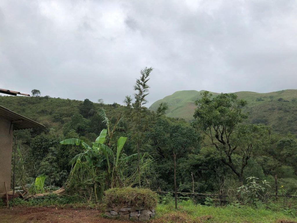 The Kudremukh Trek Base Camp