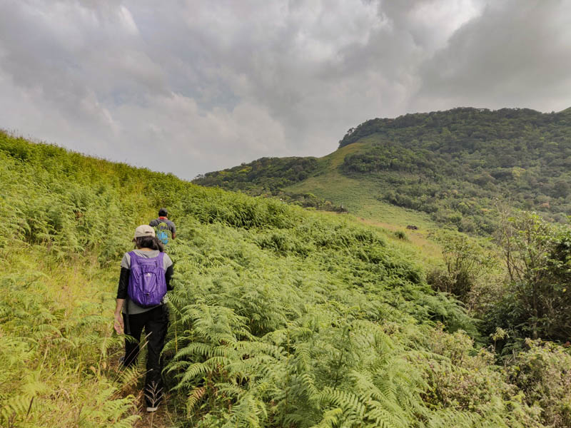 Narasimha Parvatha Trek