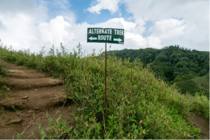 Dzukou Valley Trek | Adventure in Nagaland