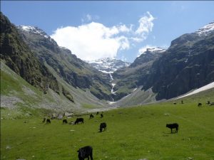 Rupin Pass Trek