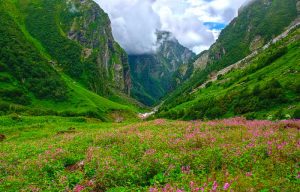 Valley Of Flowers Trek