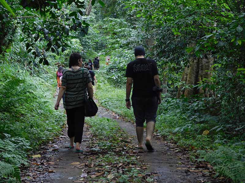 Wayanad Trek - Plan Adventurous Corporate Team Outings From Bangalore