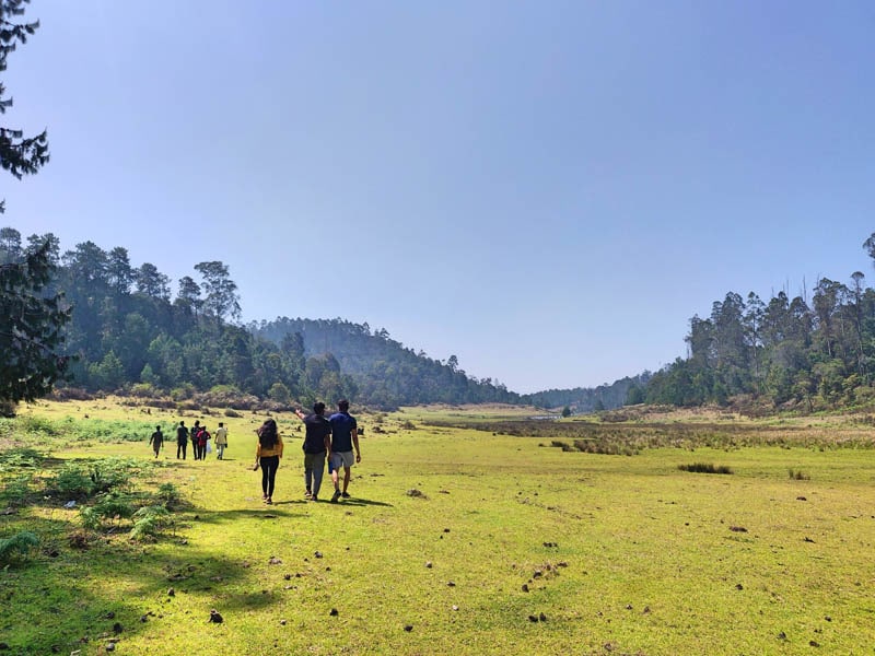 Kodaikanal Trek and Camping