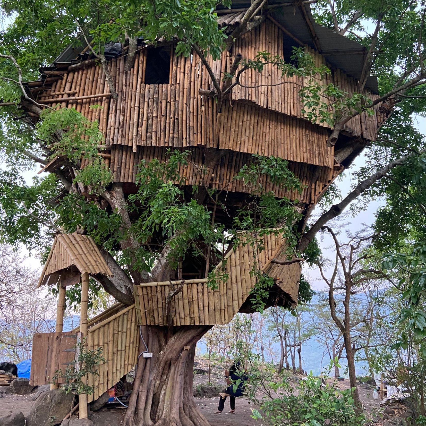 Tree House - Kodaikanal Trek - Plan The Unplanned