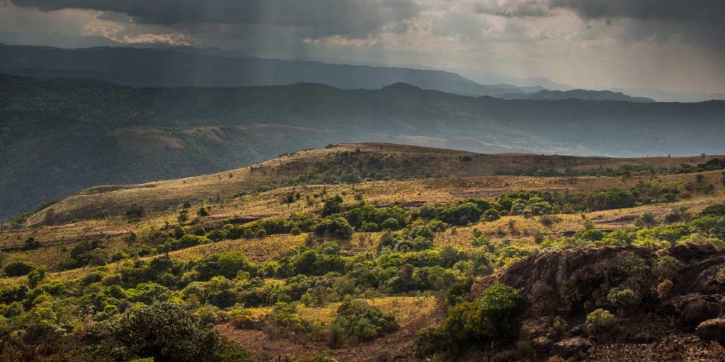 Kotebetta Trek