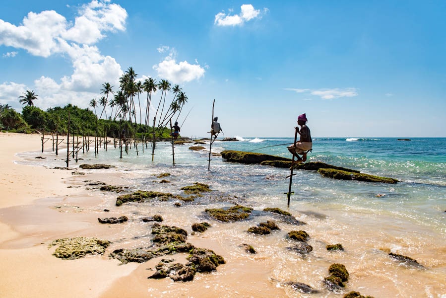 Stilt fishermen of Sri Lanka