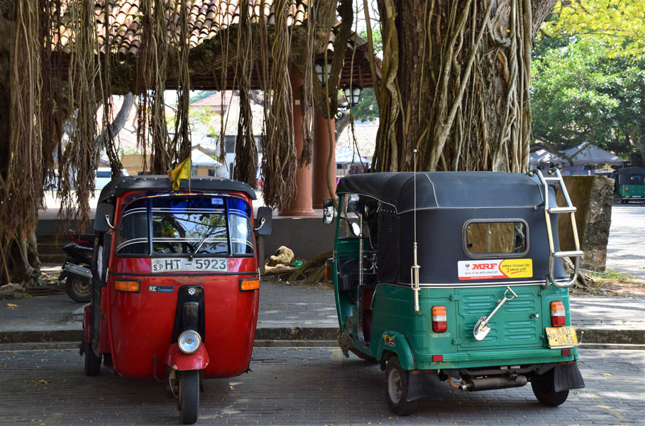 Tuk-Tuks in Sri Lanka