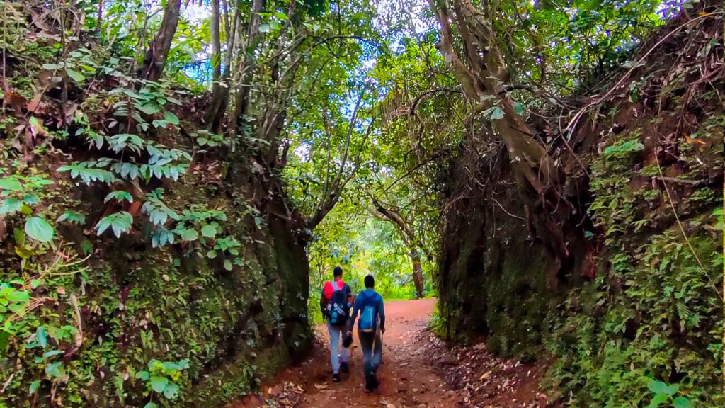 dudhsagar trekking trail