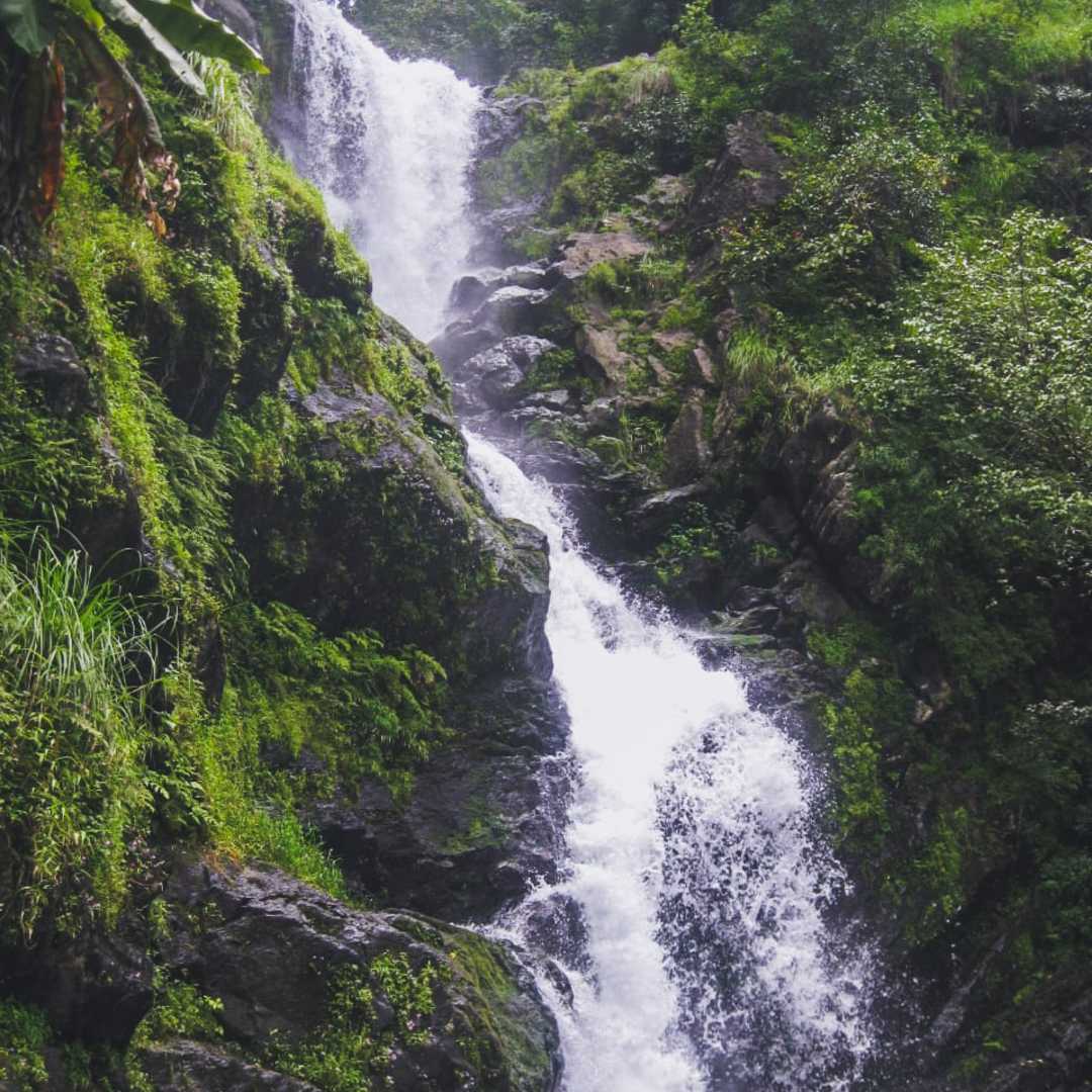 Iruppu Falls, Coorg