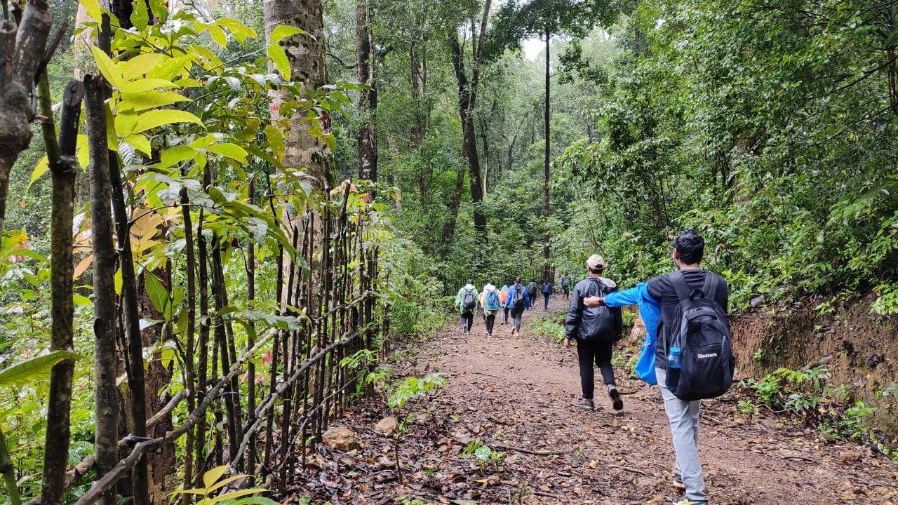 Let's go into the wild- a green and scenic trail of the Kodachadri trek