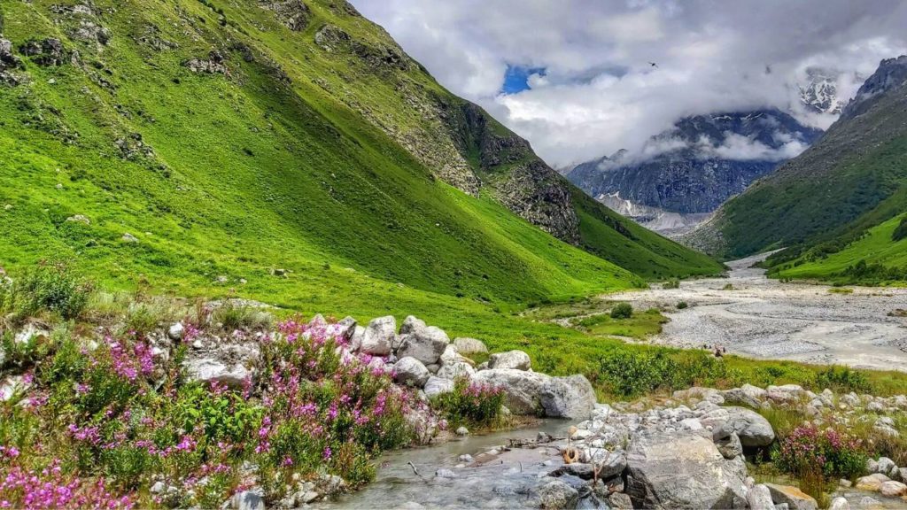 Valley of Flowers- The King of Colorful Vacations