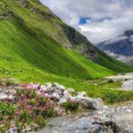 Valley of Flowers- The King of Colorful Vacations