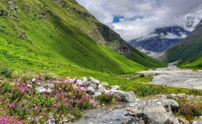 Valley of Flowers- The King of Colorful Vacations