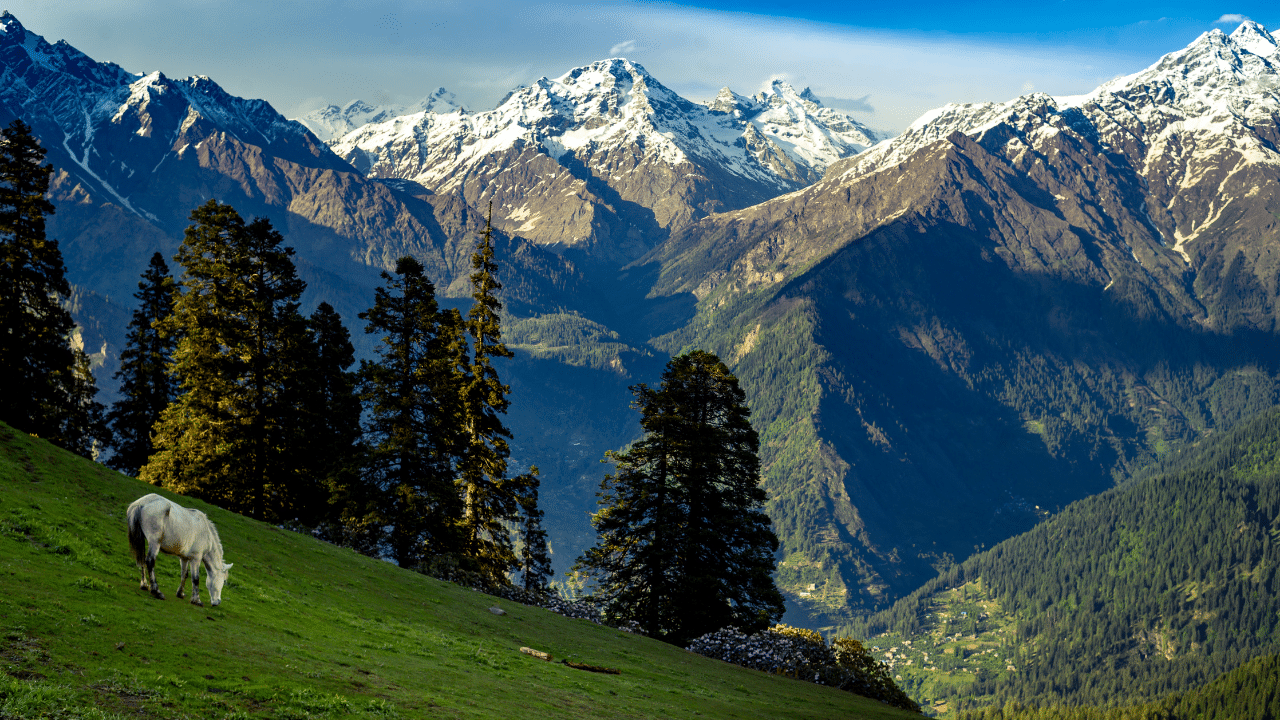 The Himalayan Range from Kasol - Grahan Village Trek