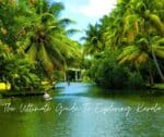 The Ultimate Guide to Exploring Kerala