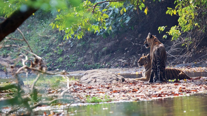 Parambikulam Tiger Reserve Kerala Plan The Unplanned