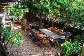 A cafe surrounded by lush green vegetation