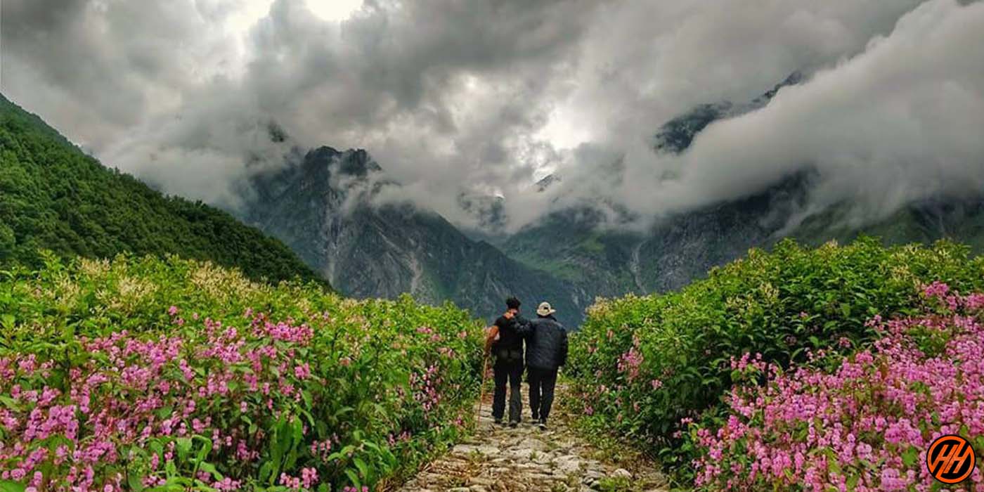 Valley-of-flowers-himalayas