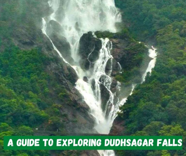 Dudhsagar falls plan the unplanned