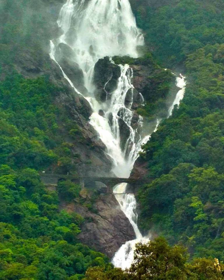 dudhsagar waterfall trek open or closed