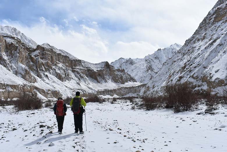 Snow-Leopard-Trek Leh Ladakh Plan The Unplanned