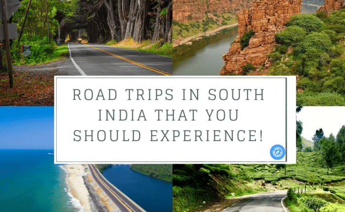 Road Trips in South India | Plan The Unplanned