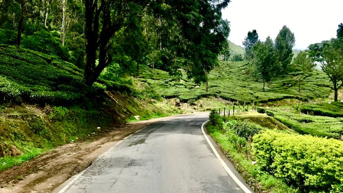 Chennai to Munnar Road trip | Plan The Unplanned