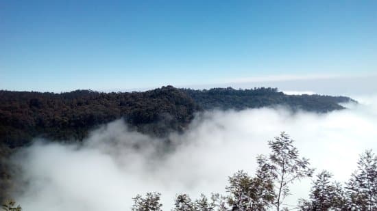 Silent Valley View Trek Kodaikanal | Plan The Unplanned