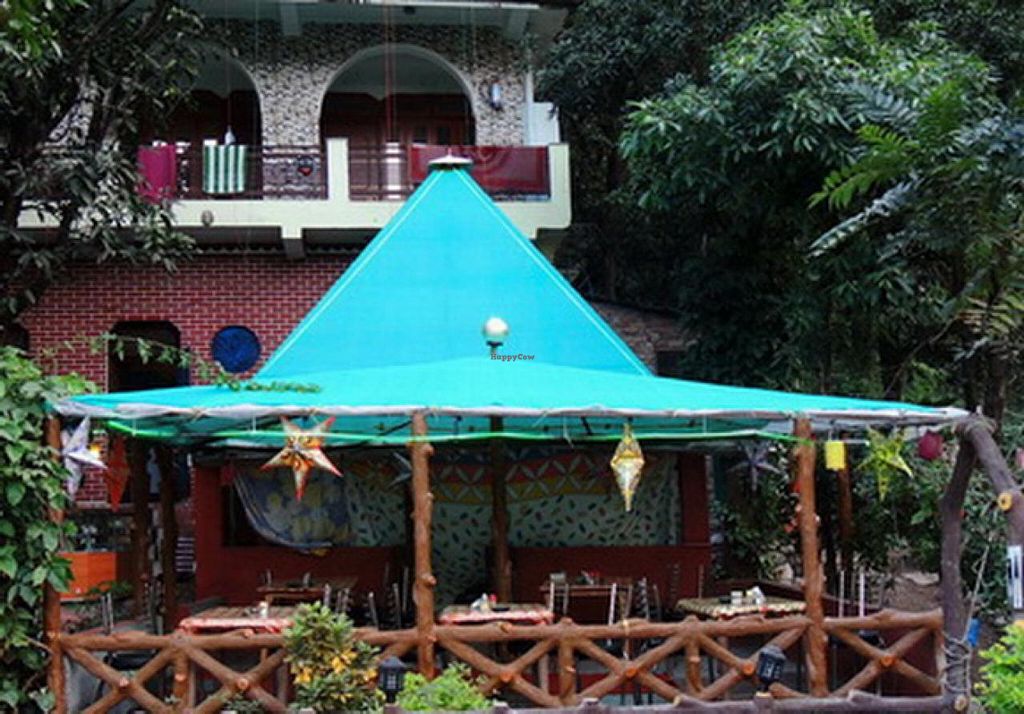The Pyramid Cafe | Rishikesh | Plan The Unplanned