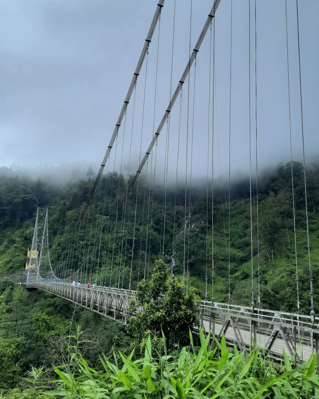 Singshore Bridge Sikkim